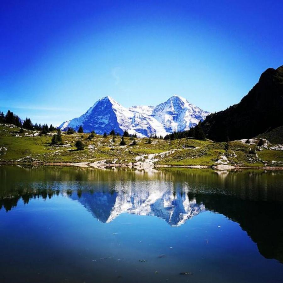 Swisshut Stunning Views Alps Lake - Chalet Erli Darligen Экстерьер фото